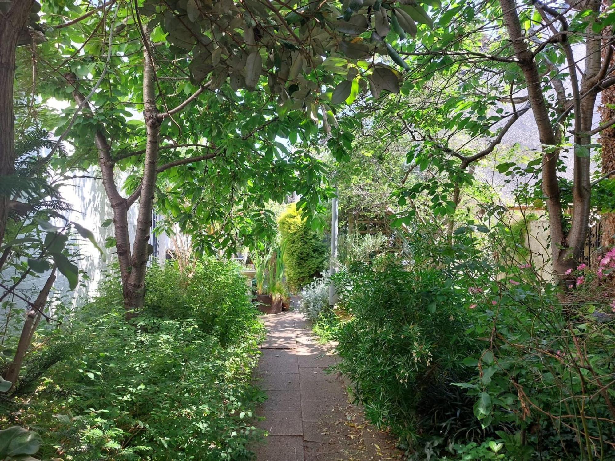 Wimbledon Village * Londra