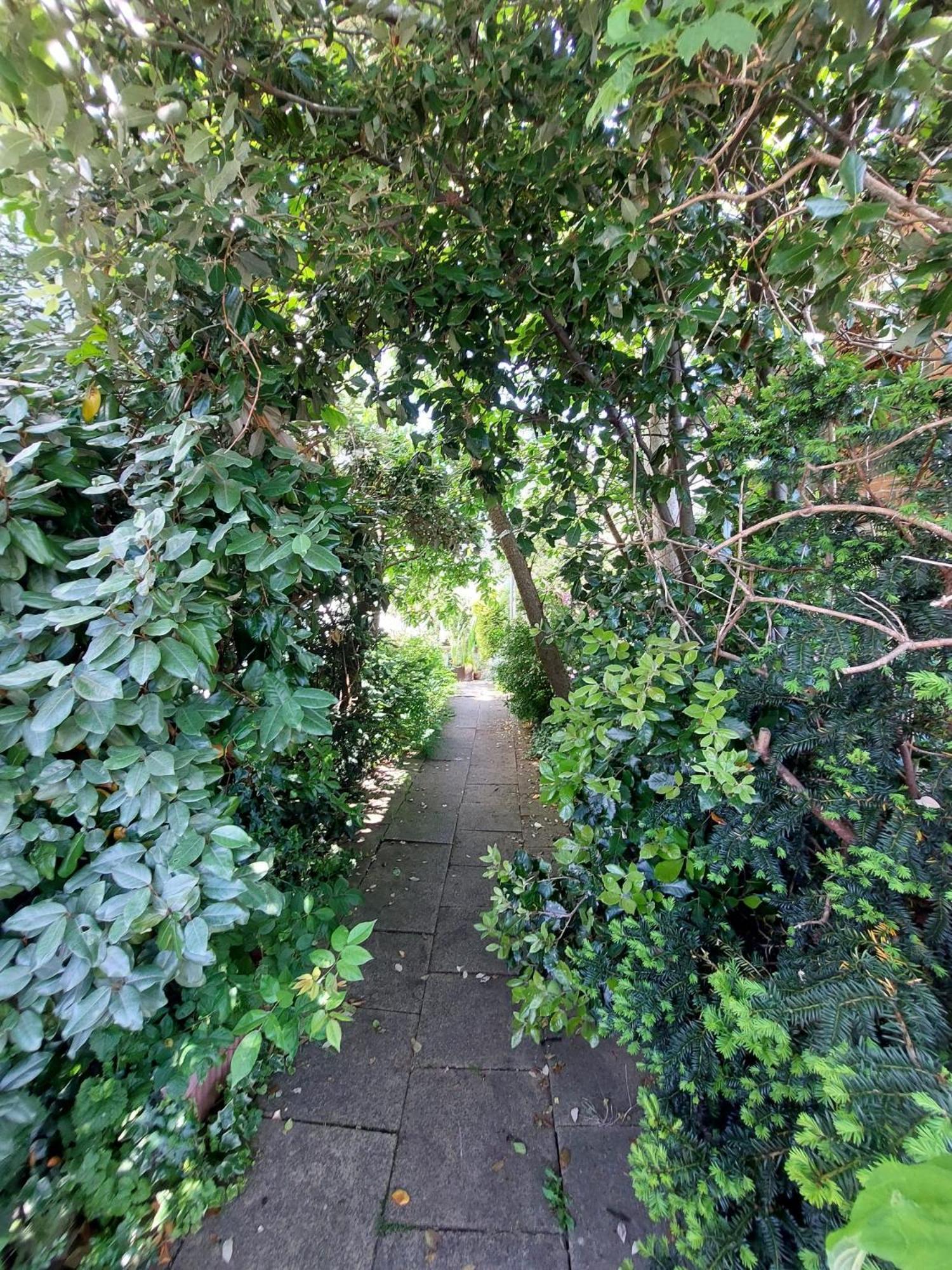 Casa vacanze Wimbledon Village *